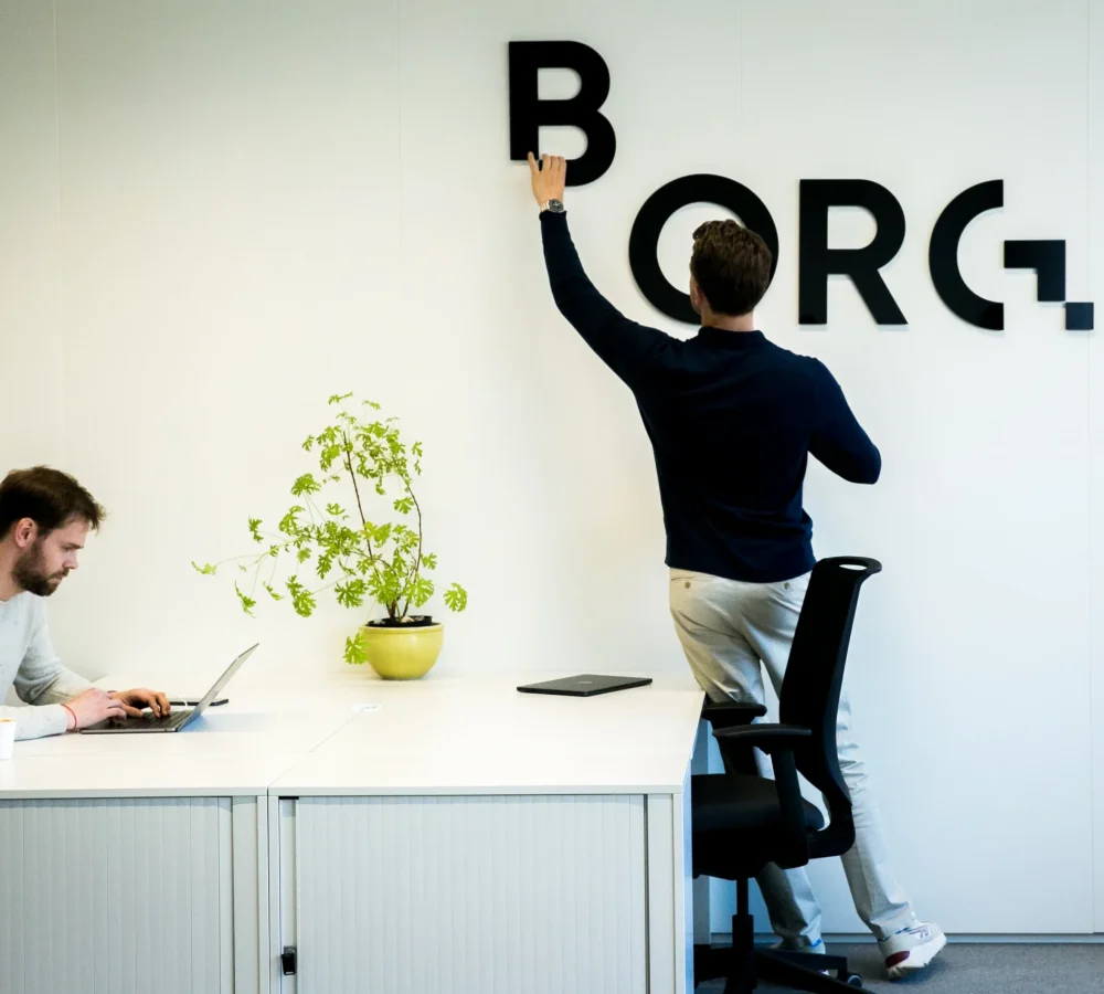 Copy of *BORG2025, v2.0-133