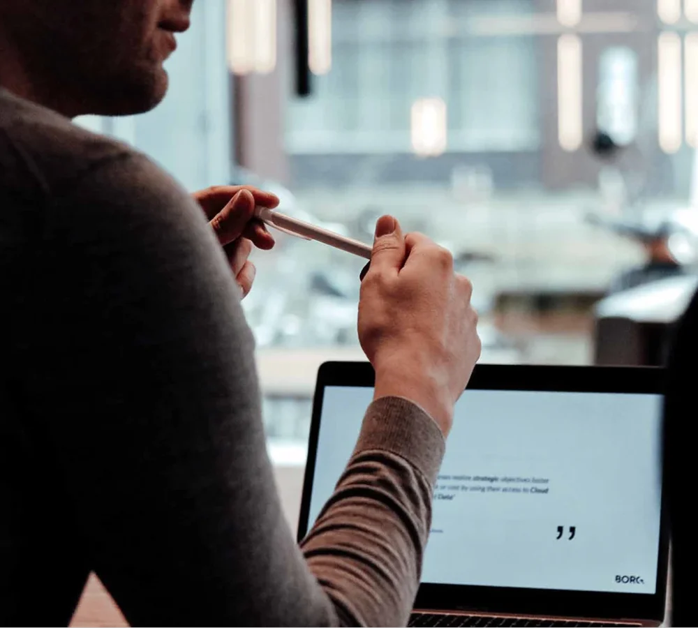 Borg consulting strategy